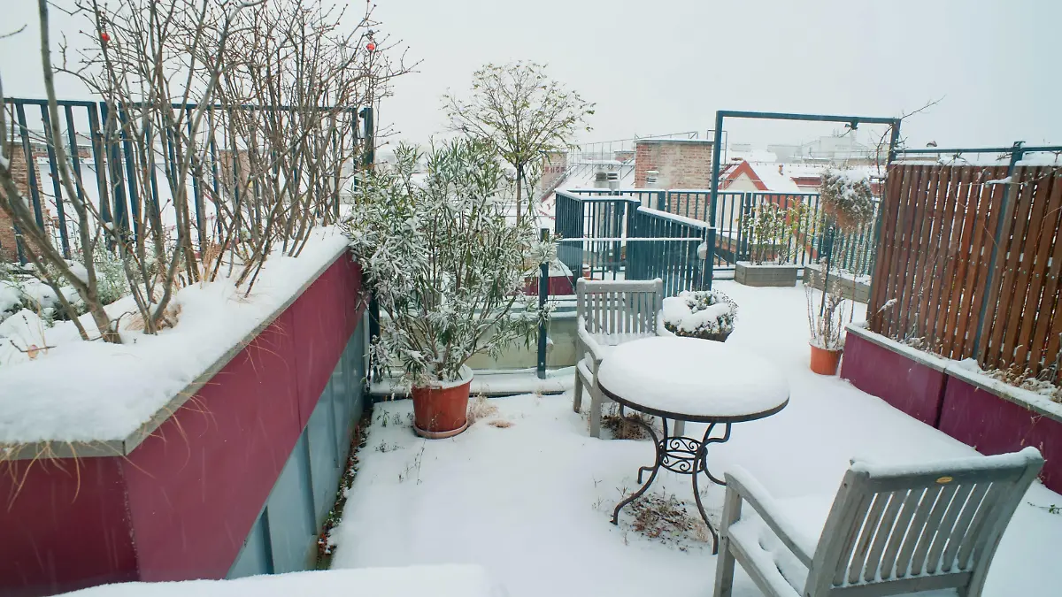 Dachgarten im Winter, Oesterreich, Wien | roof garden in winter, Austria, Vienna