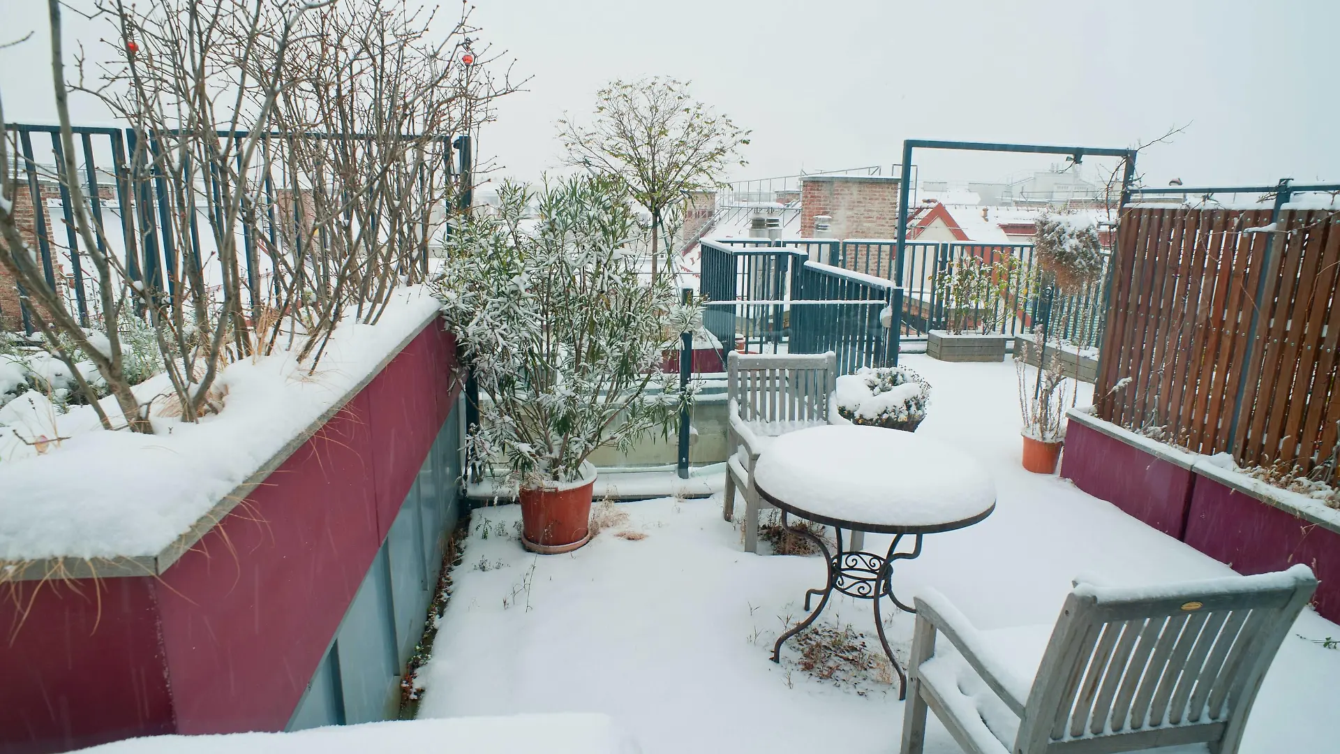 Dachgarten im Winter, Oesterreich, Wien | roof garden in winter, Austria, Vienna