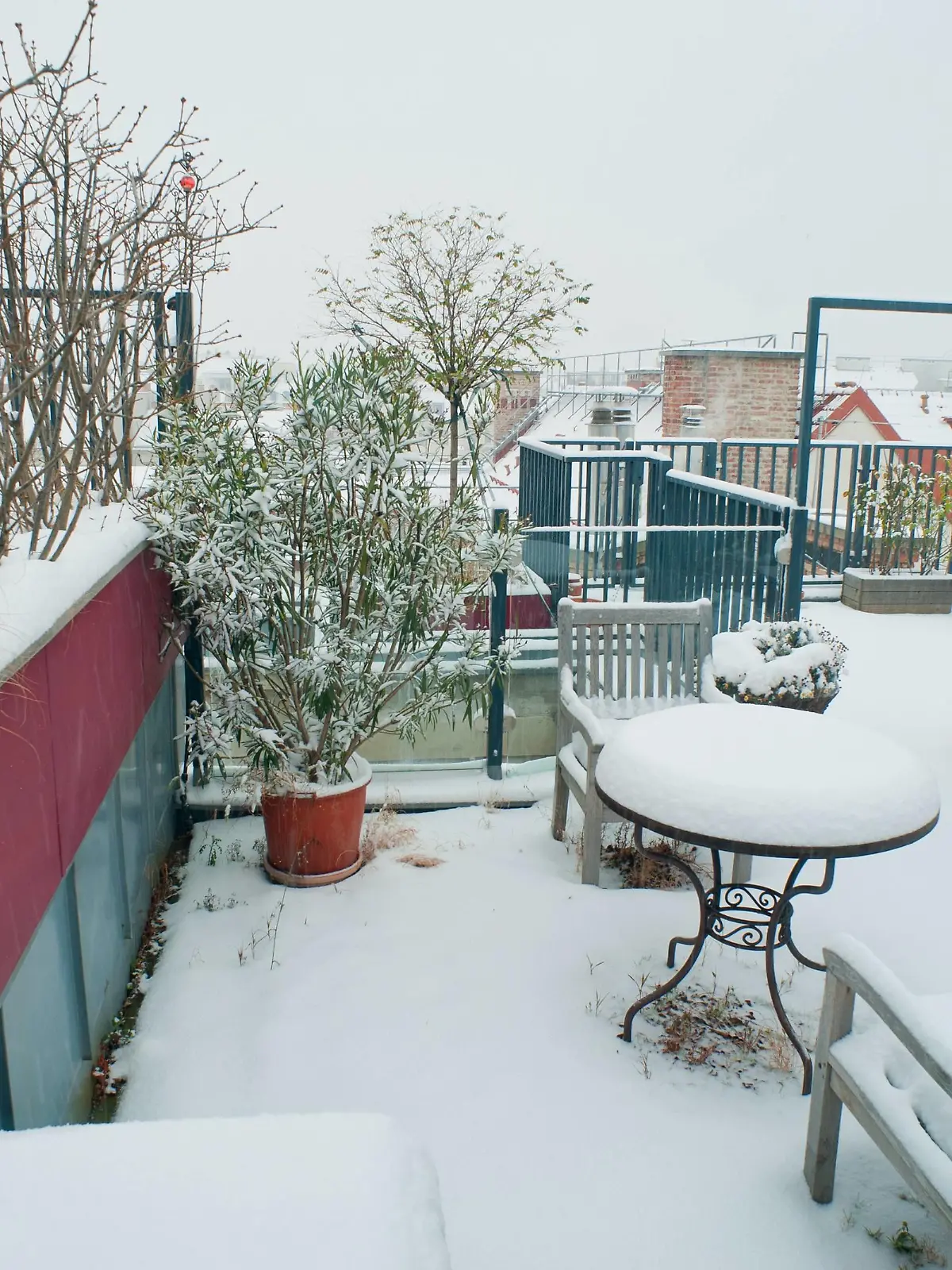 Dachgarten im Winter, Oesterreich, Wien | roof garden in winter, Austria, Vienna