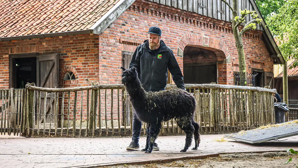 Als Pedro in den Tierpark eingezogen ist, hat wahrscheinlich keiner damit gerechnet, dass er bald Vater werden würde.