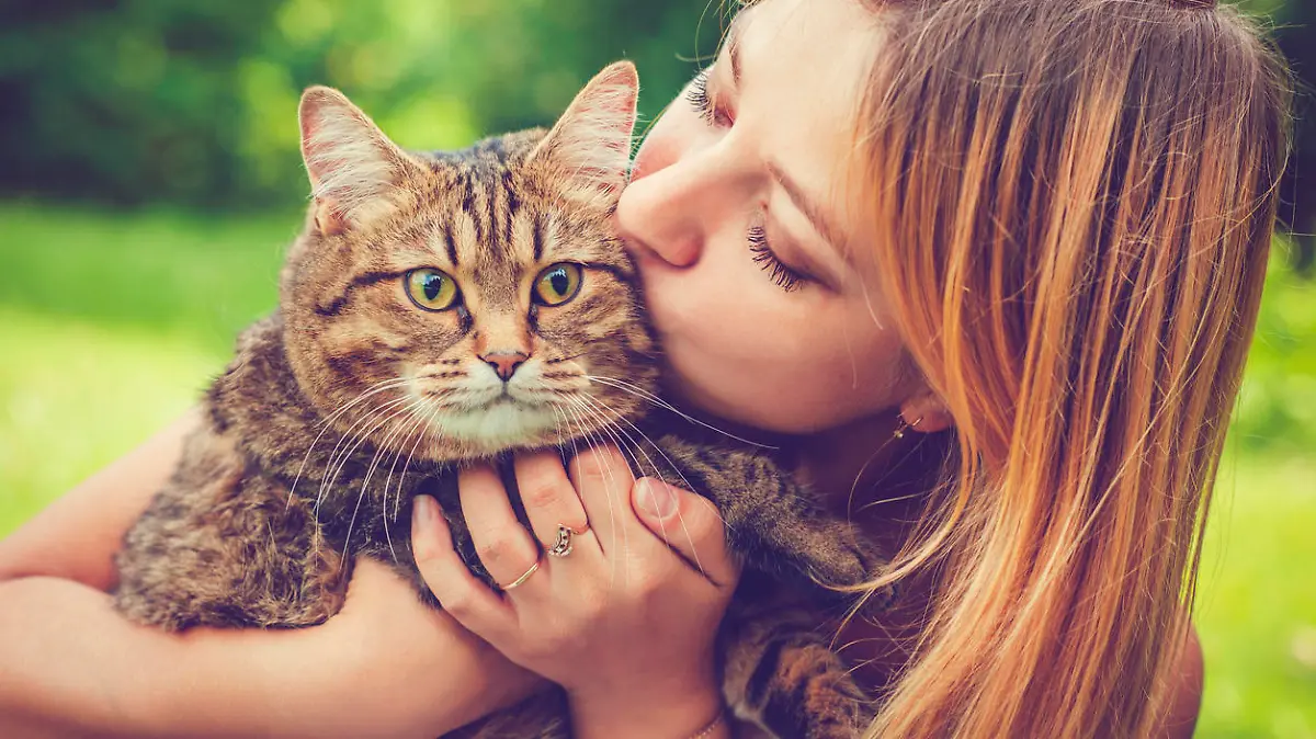 Küsschen für die Katze - da drohen Zoonosen