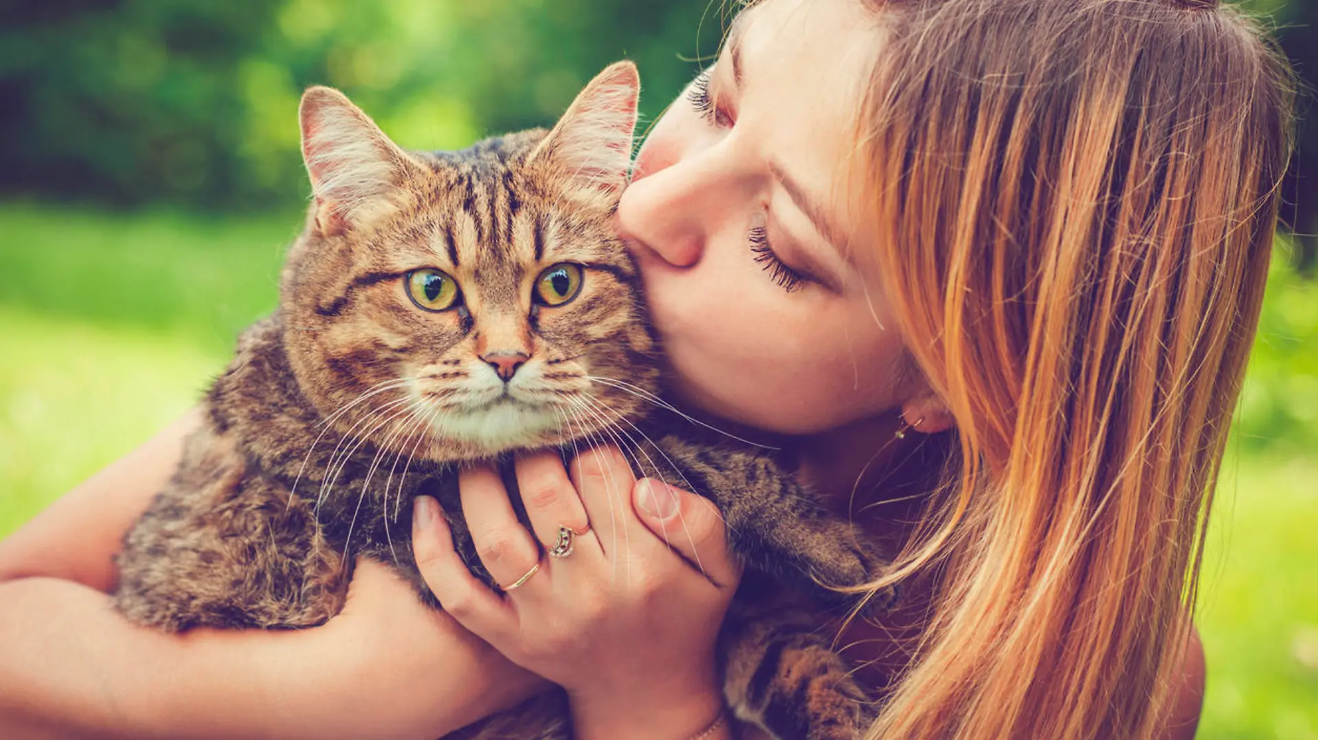 Küsschen für die Katze - da drohen Zoonosen