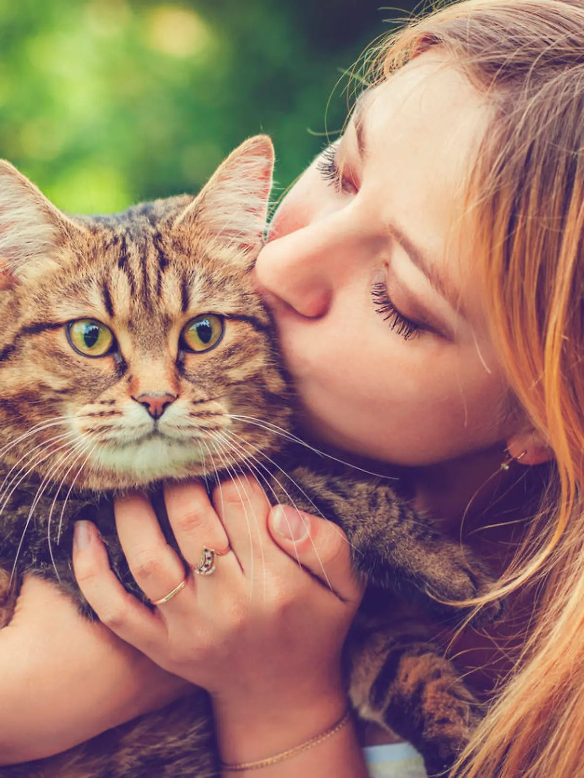 Küsschen für die Katze - da drohen Zoonosen