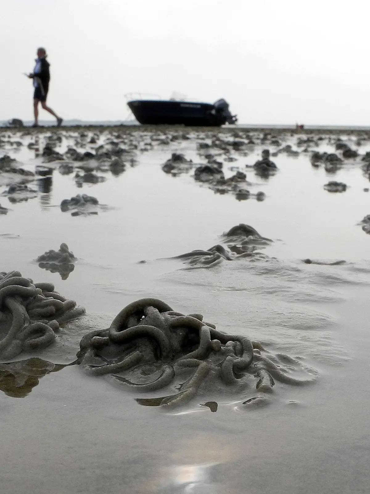 Eine Urlauberin geht am 17.08.2013 bei Utersum (Schleswig-Holstein) auf der Nordseeinsel Föhr an einem auf dem Trockenem liegendem Boot im Watt vorbei. Im Vordergrund sind Schlickhäufchen, die von Wattwürmern ausgestoßen wurden, zu sehen. Foto: Federico Gambarini/dpa +++(c) dpa - Bildfunk+++