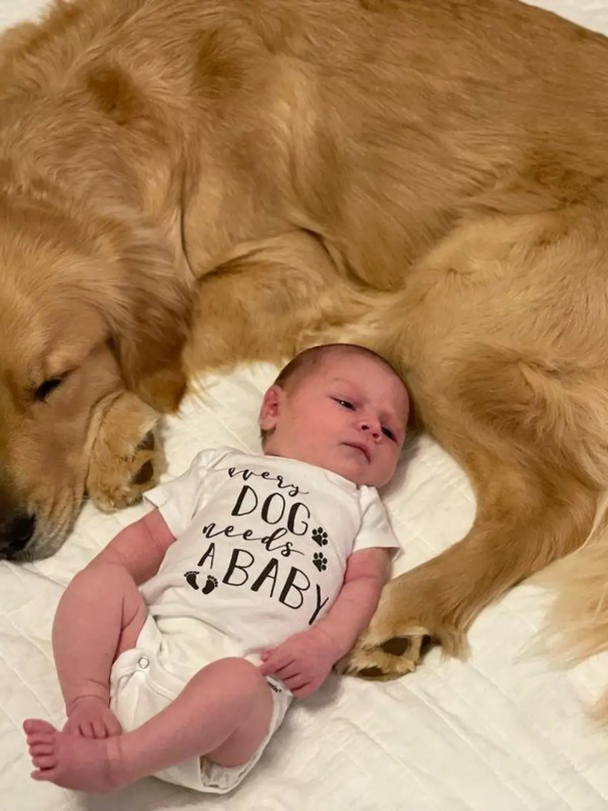 Hund Milow und sein neues Geschwisterchen
