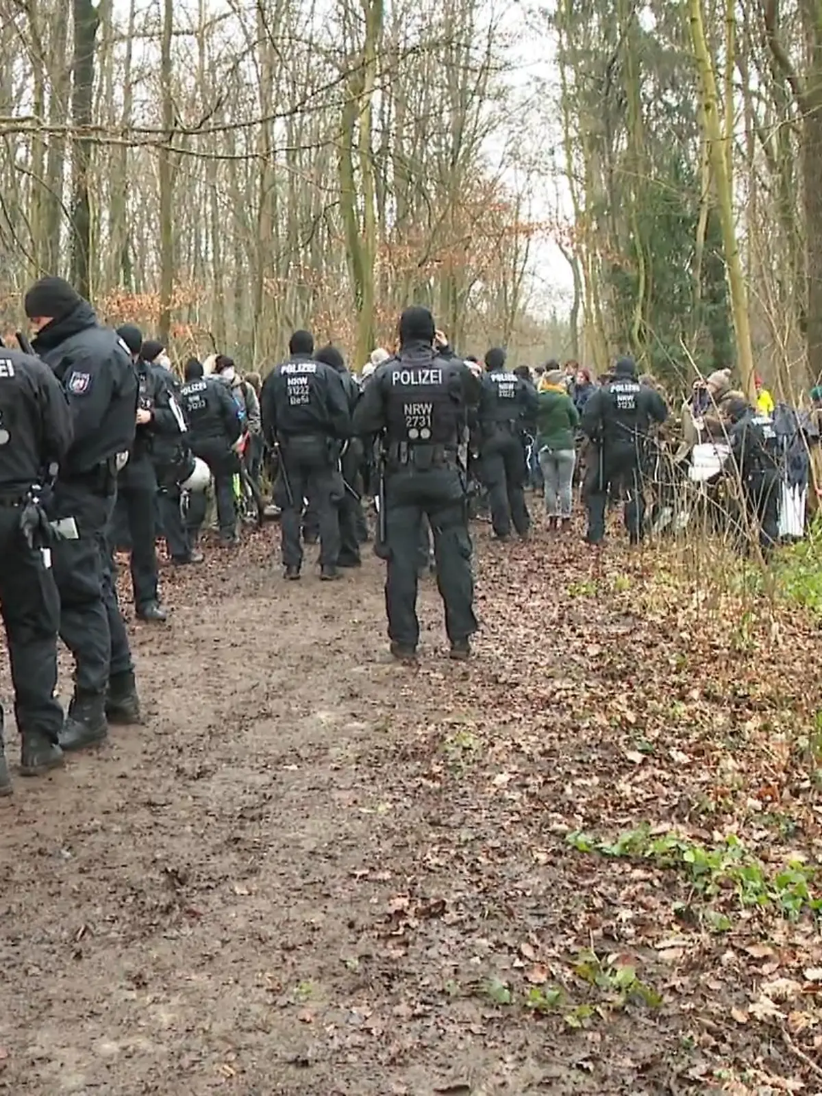 Bild zu: "Polizei räumt den Osterholz"