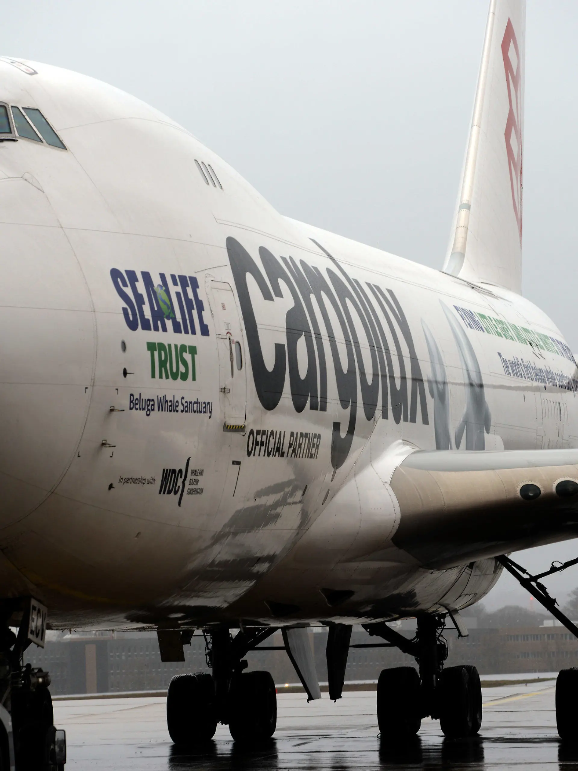ARCHIV - 04.03.2019, Luxemburg: Eine Boeing 747 der luxemburgischen Frachtfluggesellschaft Cargolux steht auf dem Vorfeld des Flughafens. Ein blinder Passagier hat einen mehrstündigen Flug im vorderen Fahrwerksbereich eines Frachtflugzeuges überlebt. Niederländische Behörden entdeckten den Mann am Sonntag am Amsterdamer Flughafen Schiphol, wie die niederländische Polizei auf Twitter mitteilte. Foto: Harald Tittel/dpa +++ dpa-Bildfunk +++