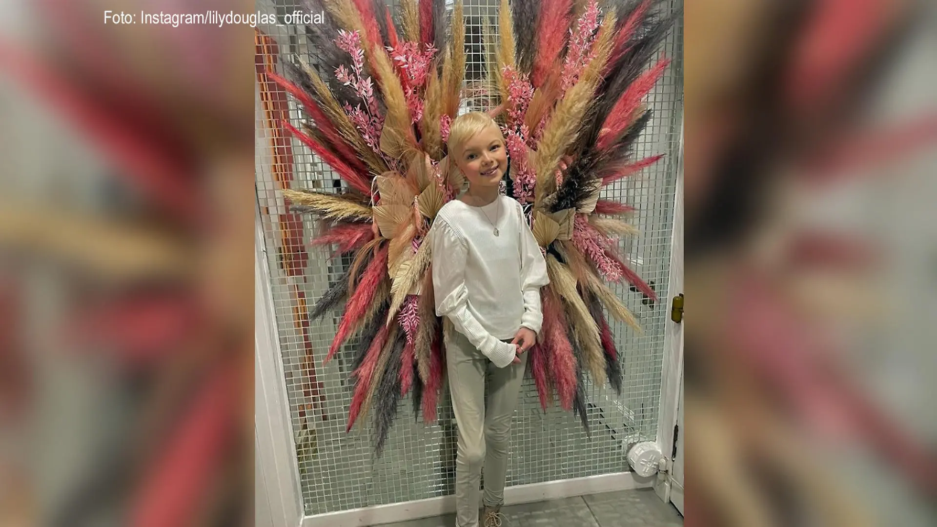 Lilydouglas