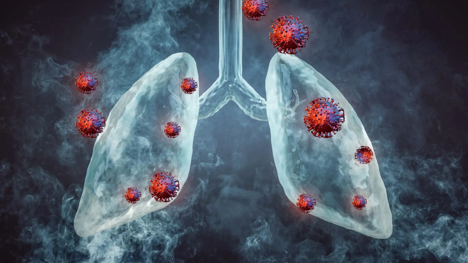 Corona Virus Lung Lung Disease
