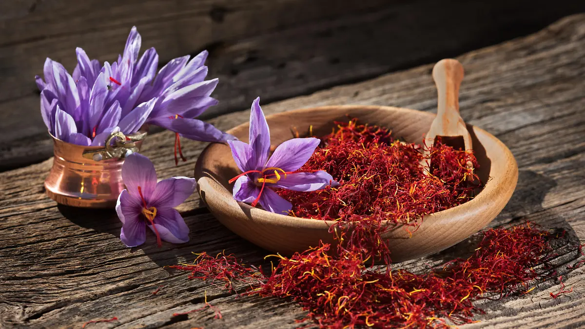 Set of dry saffron spice and fresh saffron flowers