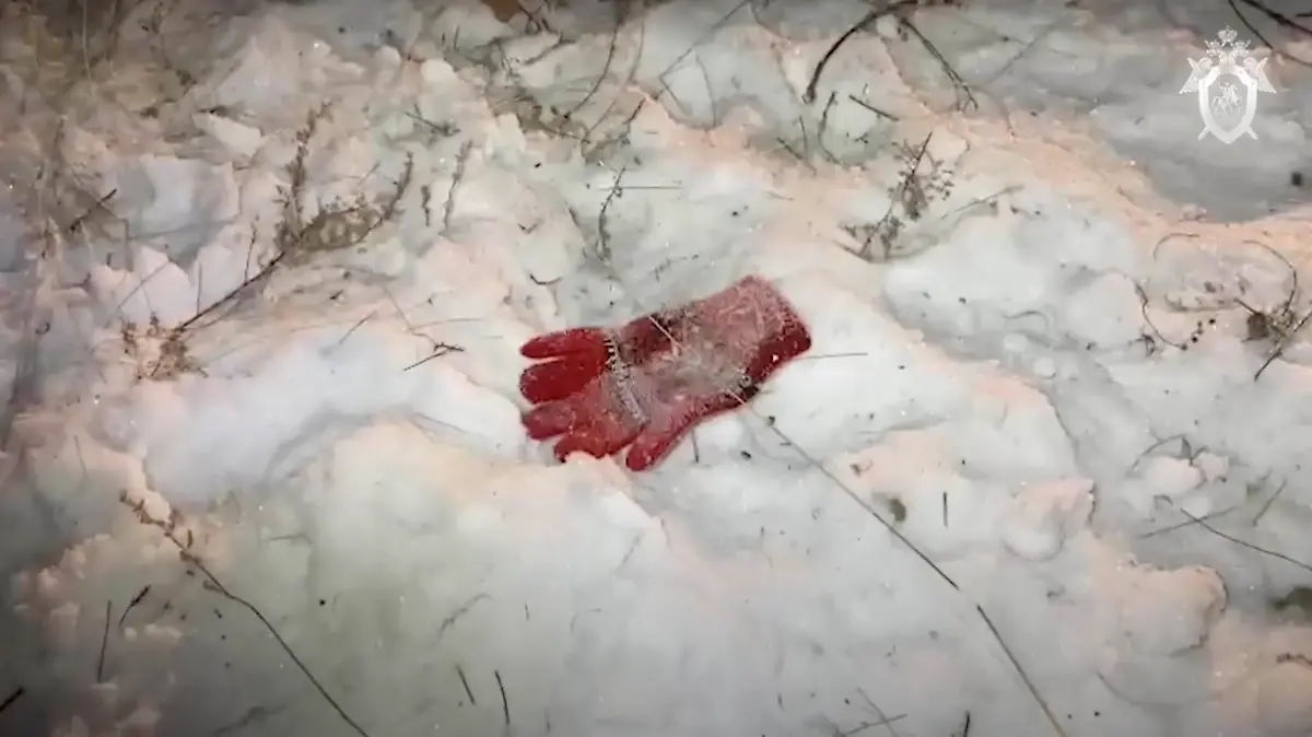 Girl, 7, daughter of decorated military pilot hero, was mauled to death by a pack of stray dogs on January 22, 2022 as she walked home from music school.
Investigators work at the scene