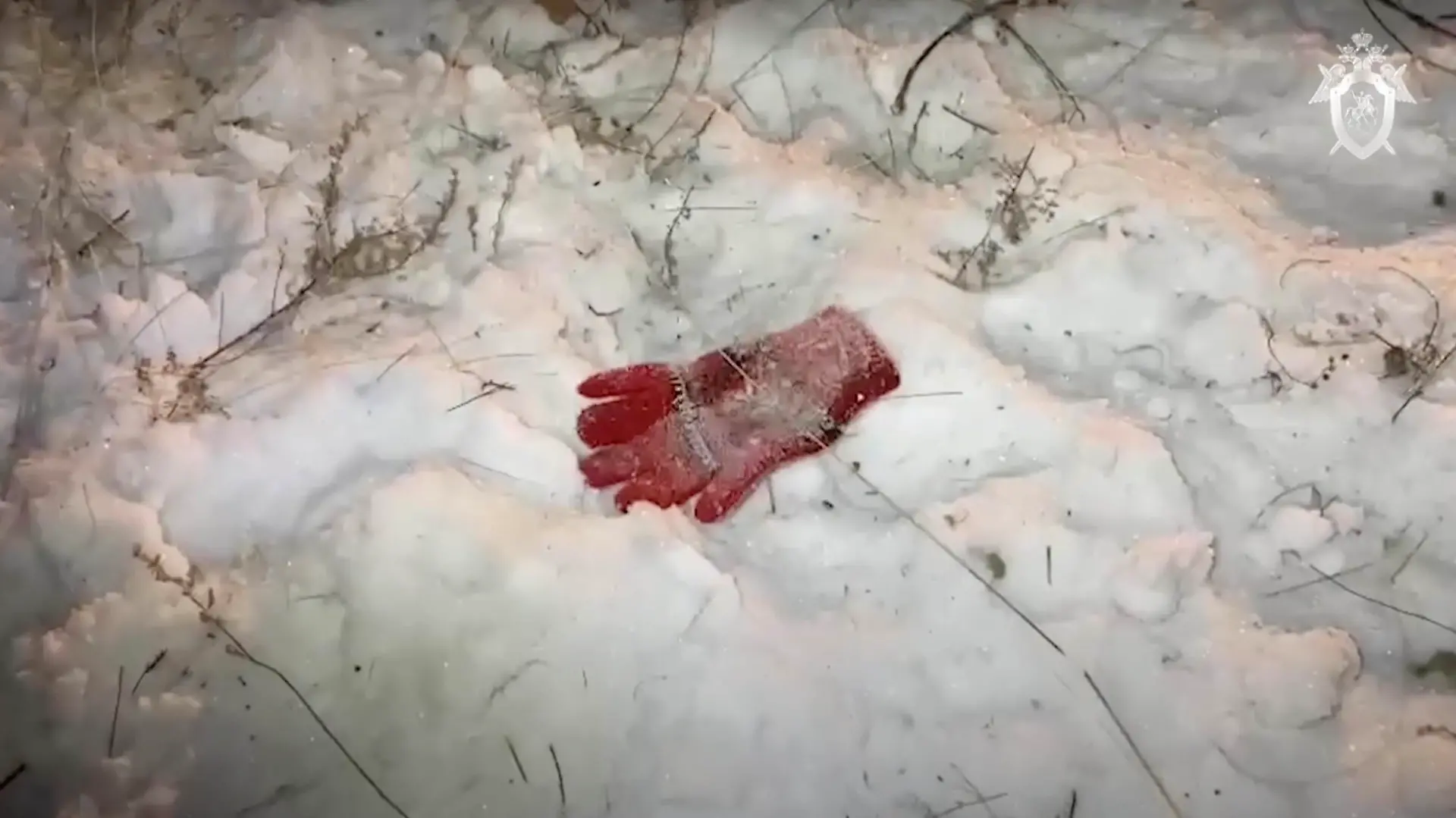 Girl, 7, daughter of decorated military pilot hero, was mauled to death by a pack of stray dogs on January 22, 2022 as she walked home from music school.
Investigators work at the scene