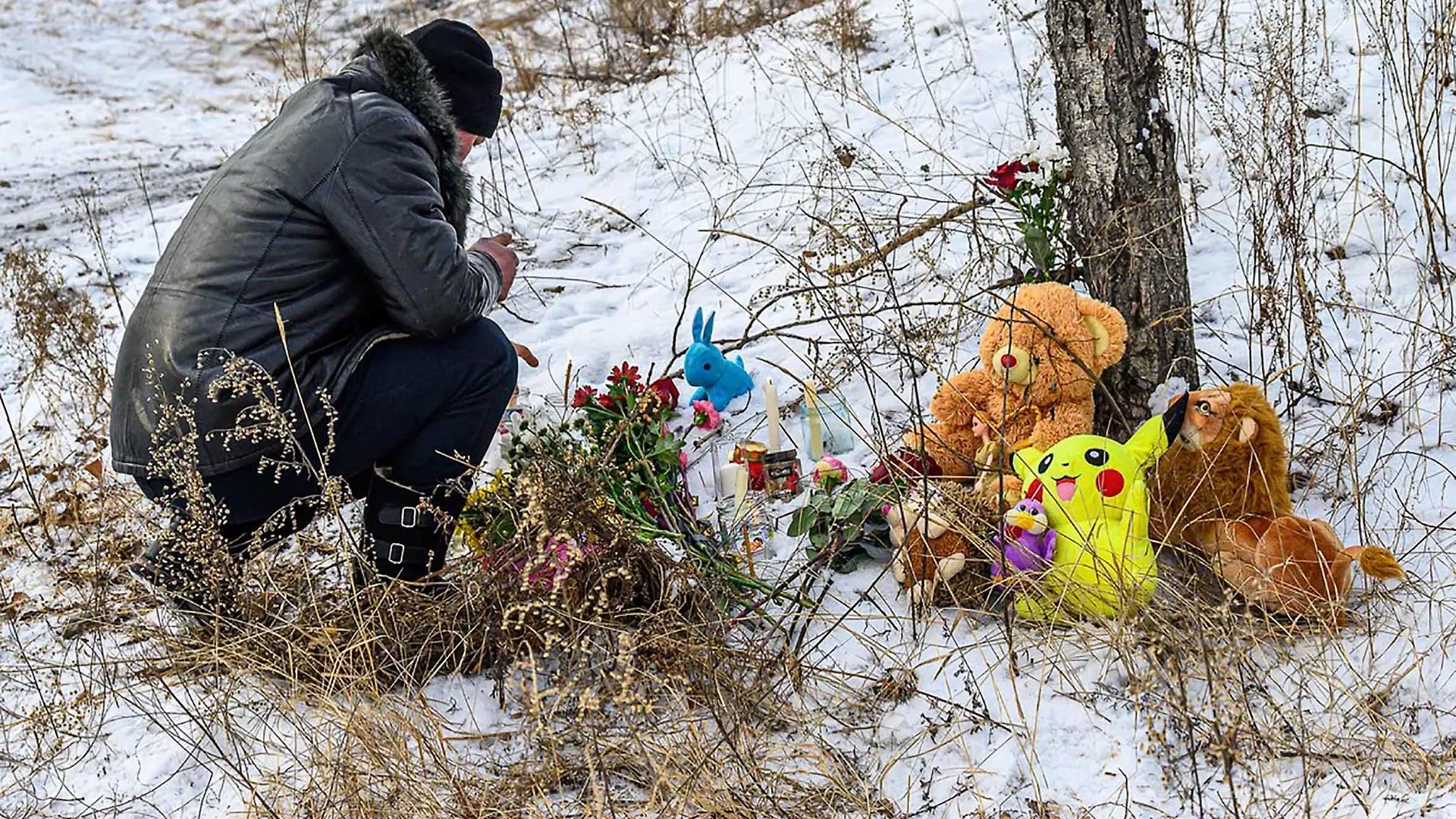 Girl, 7, daughter of decorated military pilot hero, was mauled to death by a pack of stray dogs on January 22, 2022 as she walked home from music school.
Domna village residents bring toys, flowers and candles to the place of tragedy 