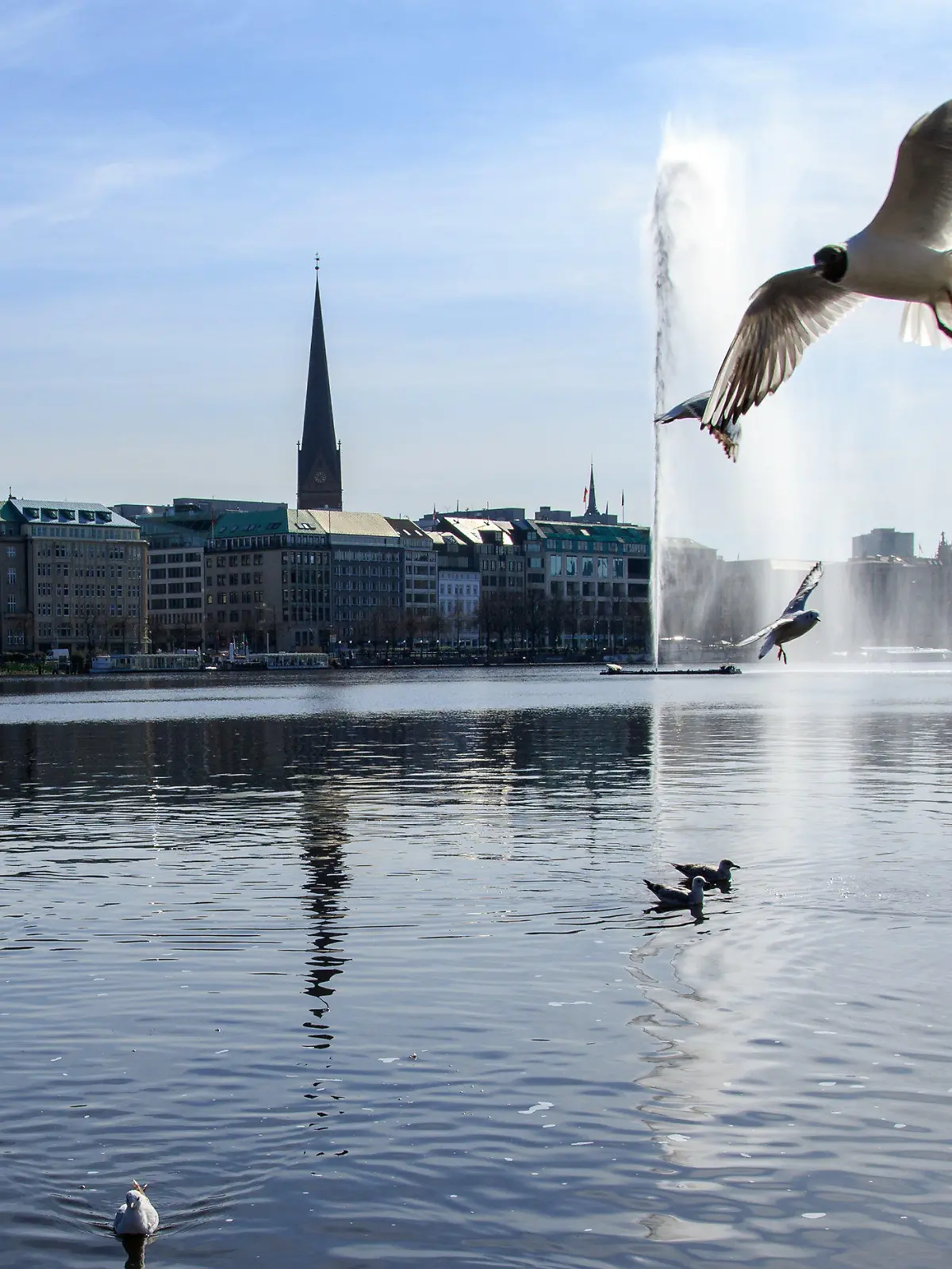 ARCHIV - 24.03.2017, Hamburg: Möwen fliegen über der Alster mit der Alsterfontäne. Die Alsterfontäne wird bald wieder angeschaltet. Foto: Sina Schuldt/dpa +++ dpa-Bildfunk +++