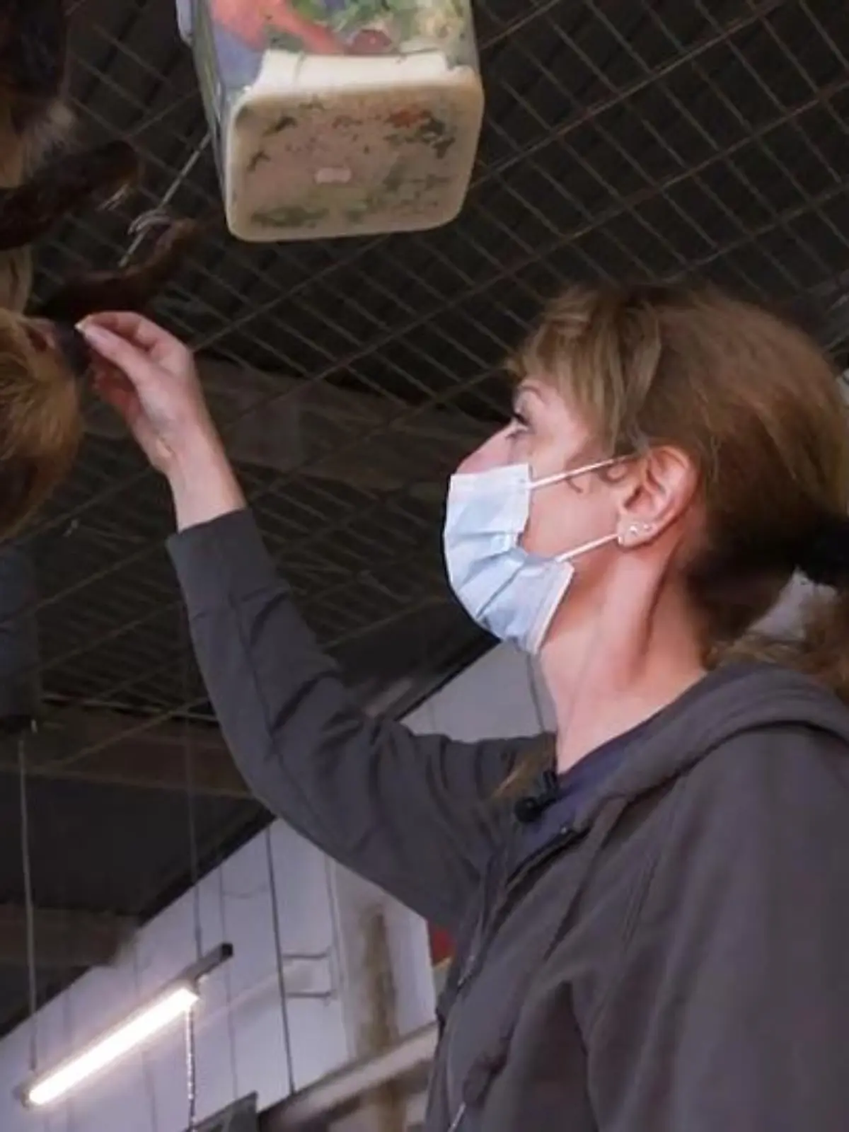13.000 Quadratmeter Fläche, 200 Mitarbeiter und über 200.000 Tiere - das ist die größte Zoohandlung der Welt. Und sie befindet sich mitten in Duisburg. Wir dürfen einen Tag lang hinter die Kulissen schauen und den tierischen Alltag aus nächster Nähe erleben.