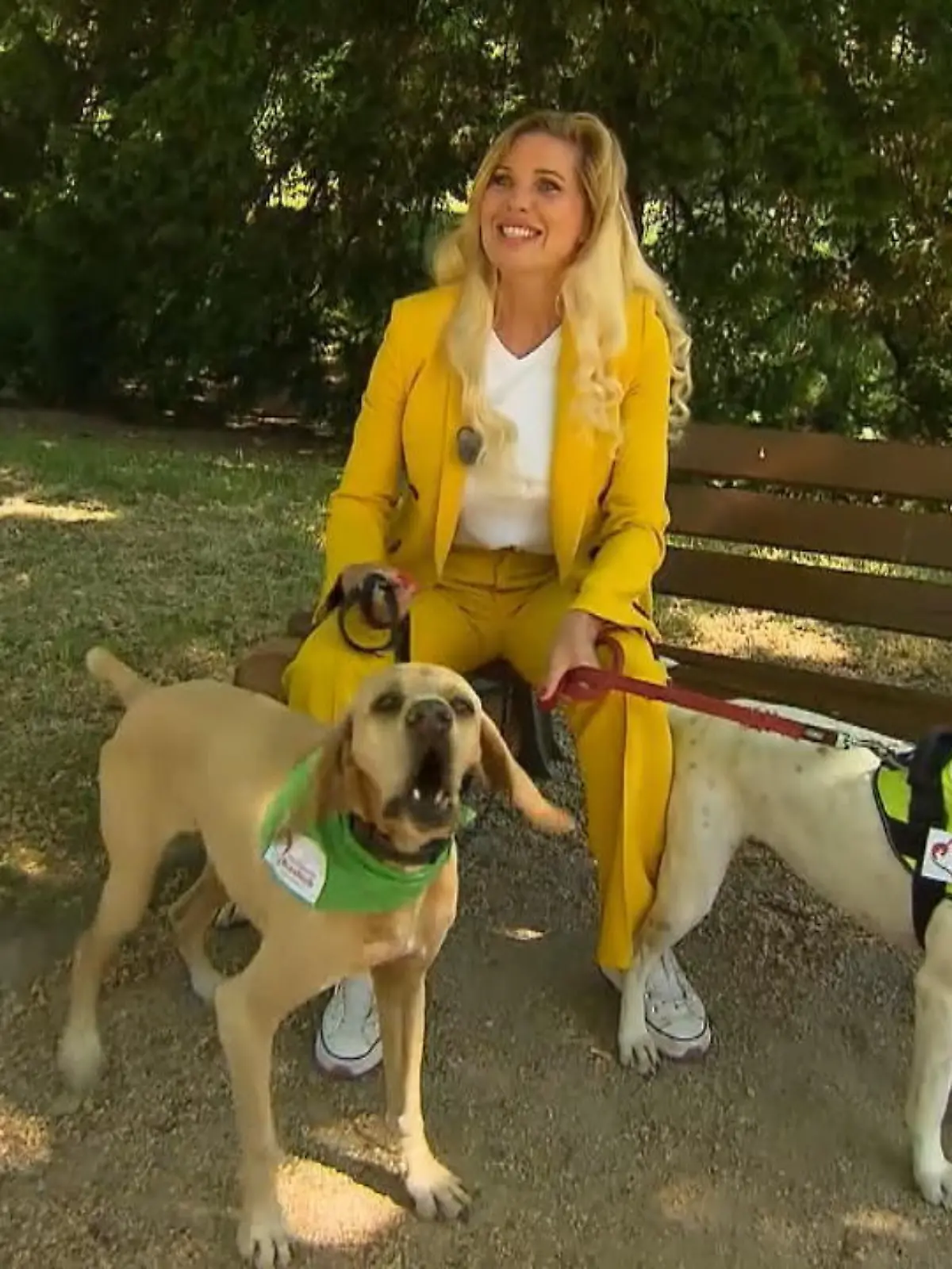 Maja von Hohenzollern ist bekannt als Moderatorin und Tierschützerin. Mit Hessen ist sie verbunden, seitdem sie hier studierte und damals in Bad Homburg wohnte. Jetzt kam sie kurz zurück und bei Dreharbeiten brachte sie interessante Hunde mit, die im Tierheim Butzbach auf Tierfreunde warten. Einen Appell für den Tierschutz sehen Sie im Video!