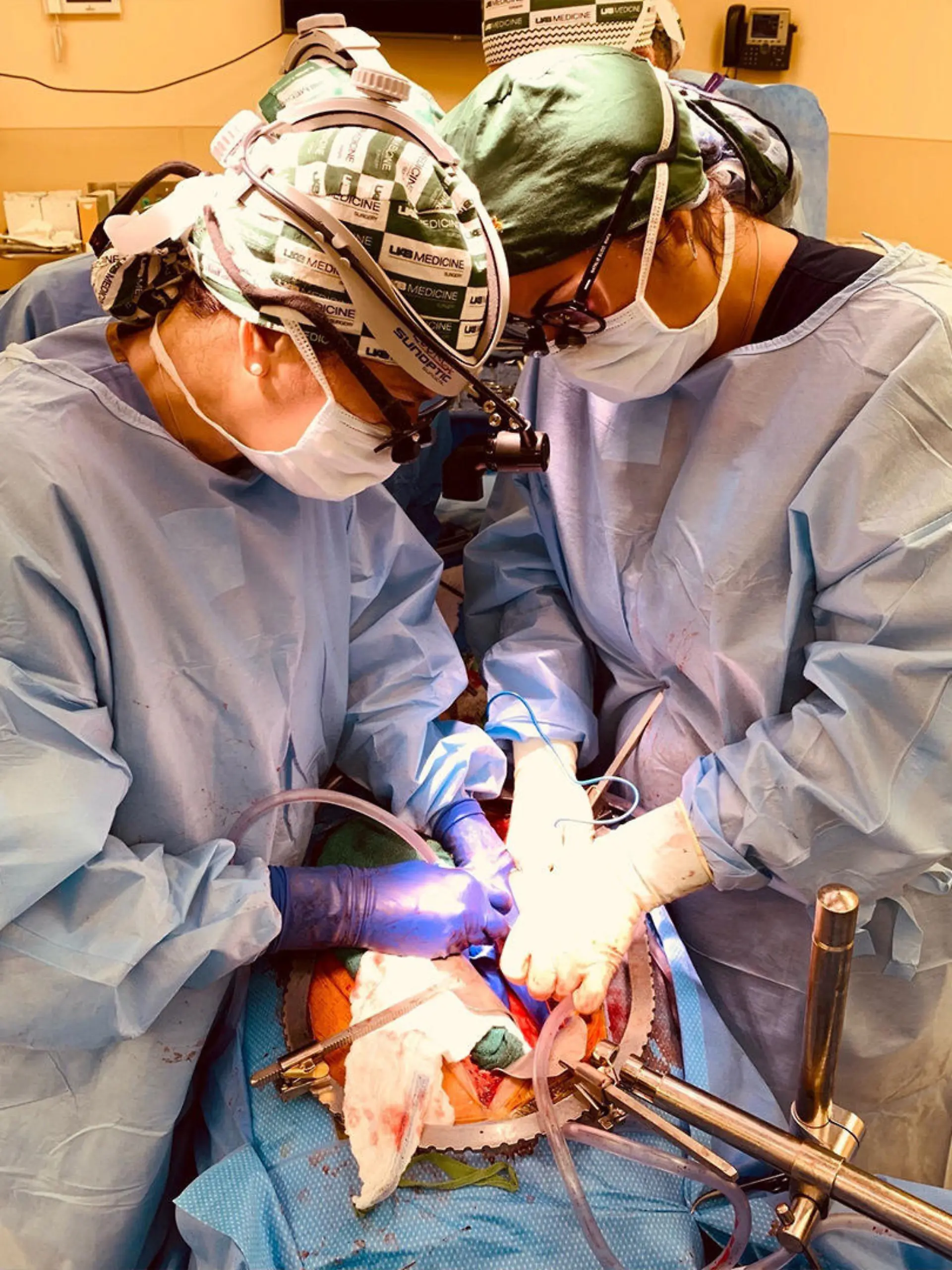 Bild einer Transplantation zweier Schweinenieren an University of Alabama