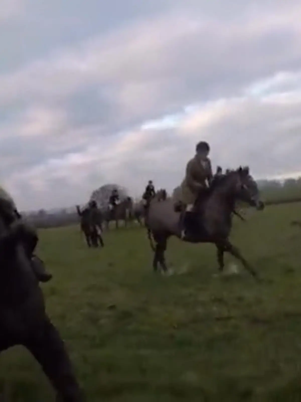 In England hat sich eine unglaubliche Jagdszene zugetragen:
Sam Morley (37) Mitglied bei den Staffordshire Hunt Saboteurs, einer Organisation, die versucht die Jagd auf Füchse zu verhindern wird von einem Reiter der North-Shropshire-Jagd einfach überannt! Unfall oder Absicht?