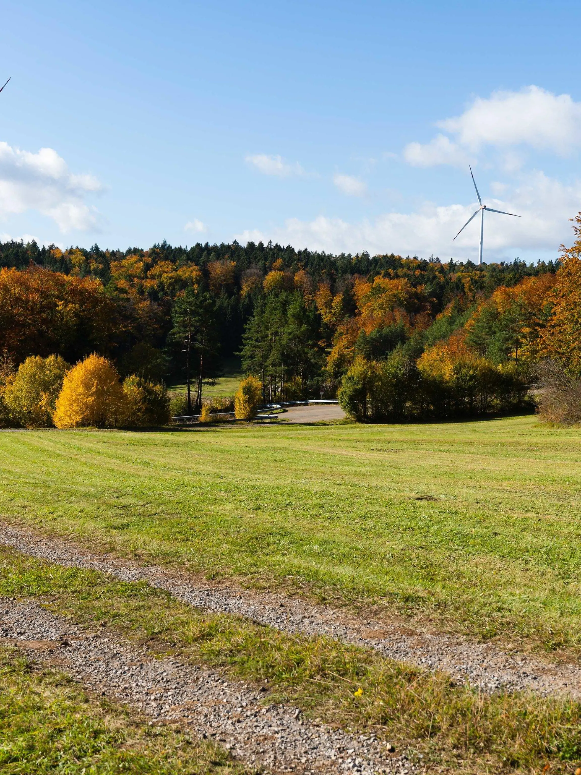 22.10.2021, Bayern, Augsberg: Die Sonne lässt das verfärbte Herbstlaub rund um zwei Windräder aufleuchten. Foto: Nicolas Armer/dpa +++ dpa-Bildfunk +++