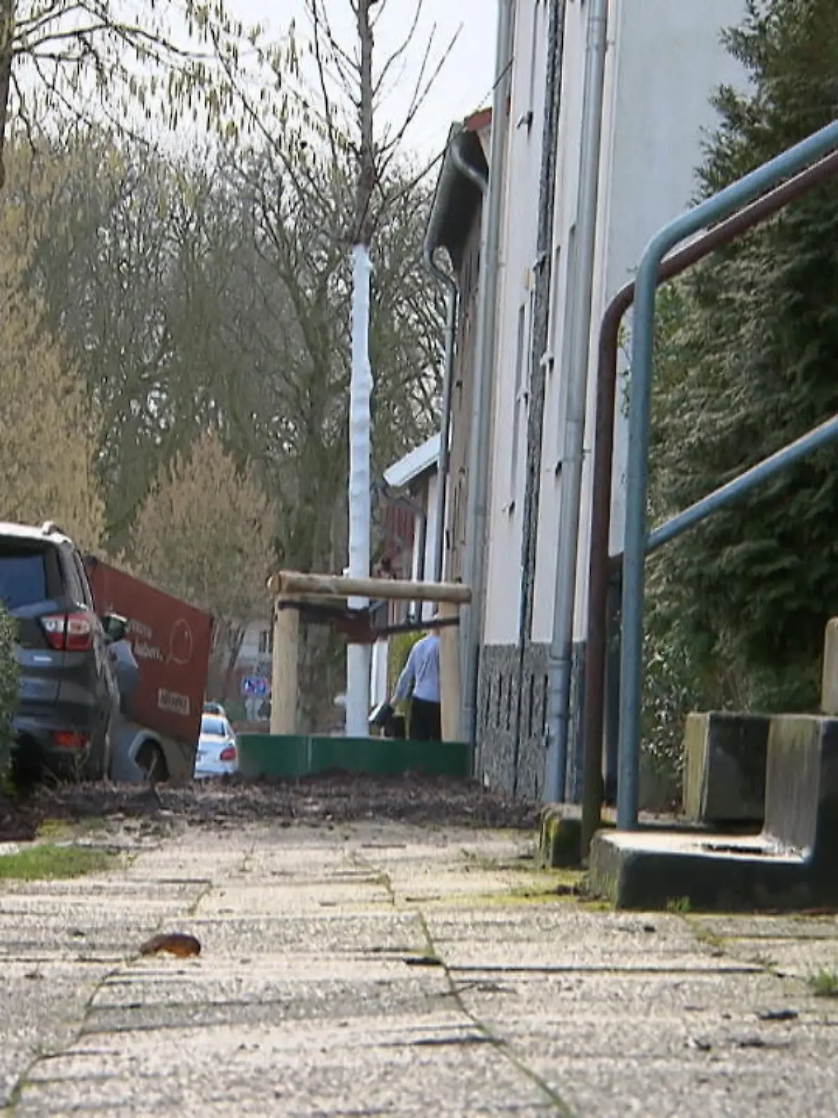 Bild zu: "Baum mitten auf Gehweg gepflanzt"