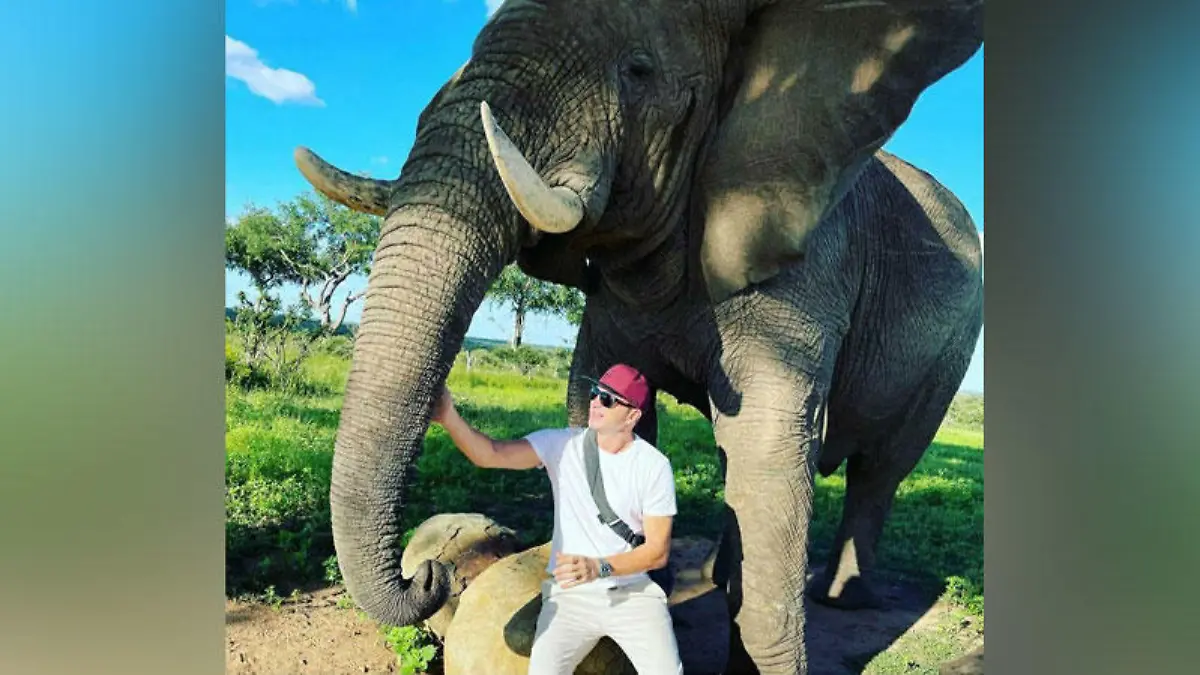 Ausgerechnet kurz vor dem Einzug ins Dschungelcamp: Lucas Cordalis ist mit dem Coronavirus infiziert. Geschah es bei diesem Rendez-vous mit Elefant?
