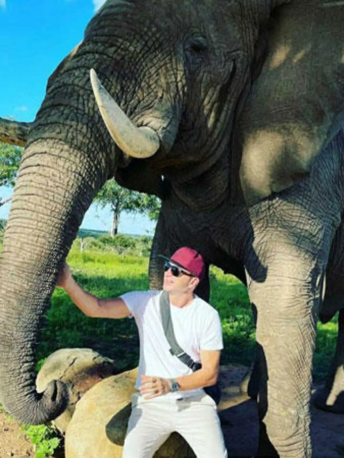 Ausgerechnet kurz vor dem Einzug ins Dschungelcamp: Lucas Cordalis ist mit dem Coronavirus infiziert. Geschah es bei diesem Rendez-vous mit Elefant?