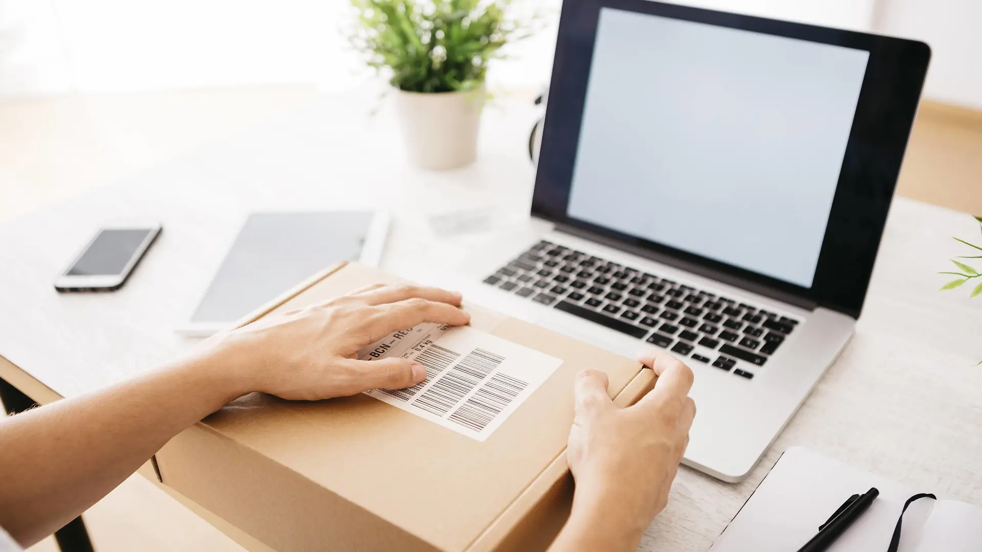 Woman unpacking parcel on her desk model released Symbolfoto property released PUBLICATIONxINxGERxSUIxAUTxHUNxONLY JRFF000789
Woman unpacking Parcel ON her Desk Model released Symbolic image Property released PUBLICATIONxINxGERxSUIxAUTxHUNxONLY JRFF000789