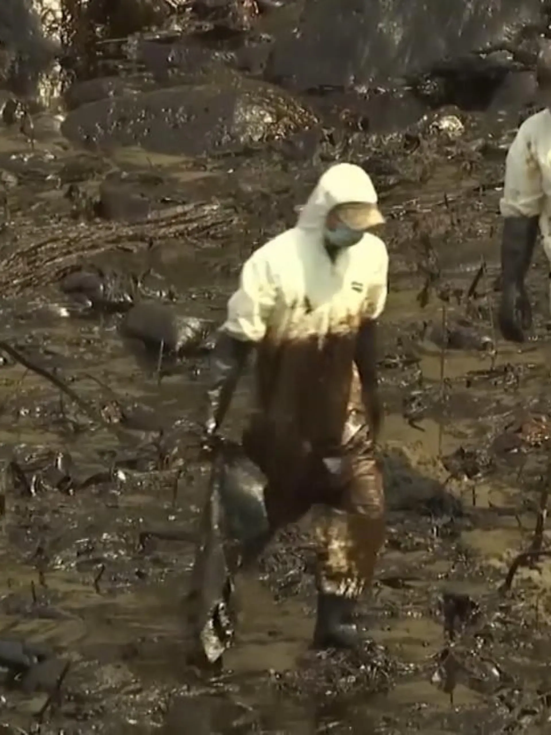 Eine Ölpest hat über 20 Strände in Peru verschmutzt: Der Vulkanausbruch vor Tonga könnte die mögliche Ursache gewesen sein, hohe Wellen sollen einen Tanker getroffen haben, der seine Ladung verlor. Mindestens 18 Quadratkilometer seien kontaminiert, so die Behörden.