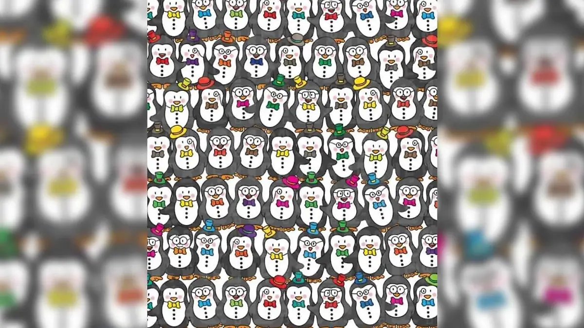 Suchbild Pinguine und Figur