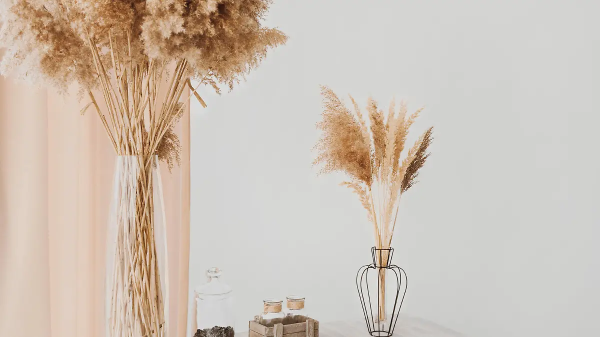 Lush plants in decorative vases on wooden table on light background