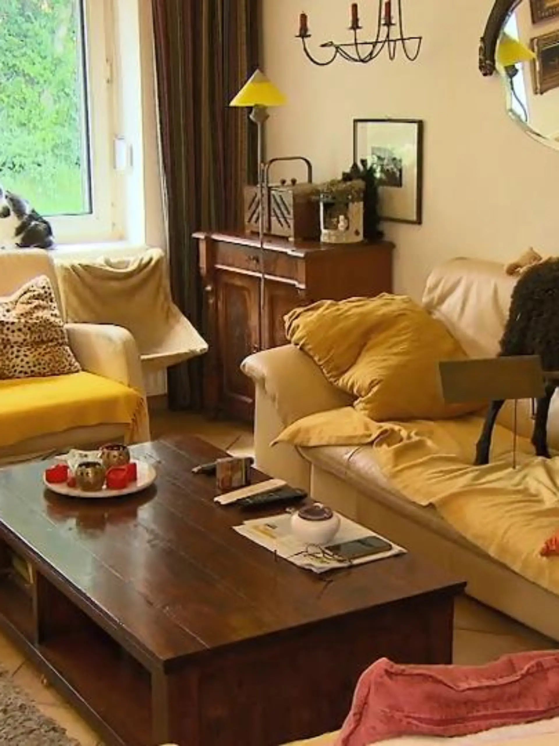 Bild zu: "Krefelderin wohnt mit Schaf im Haus"