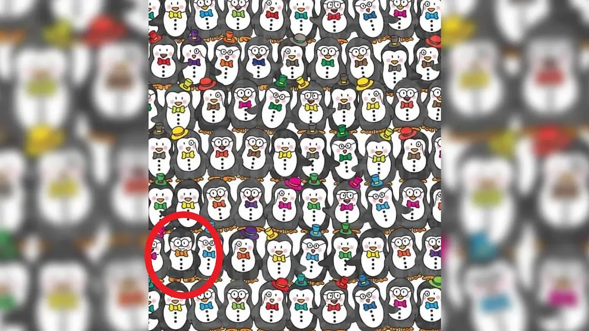 Suchbild Pinguine