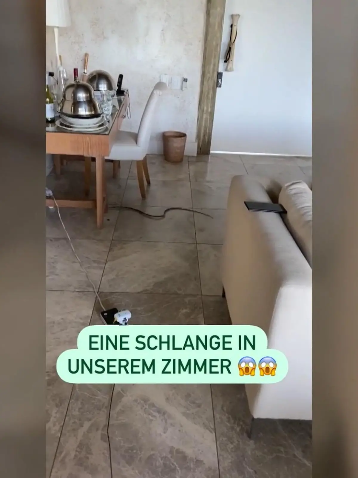 Bild zu: "Schlangen-Schock für Tara Tabitha"