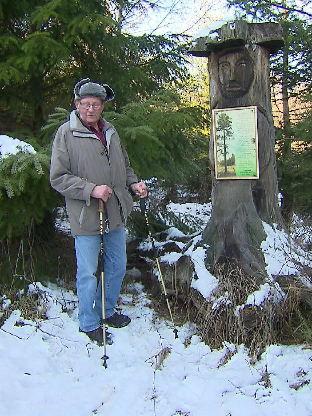 Denkmal an Kyrill: Dieser Baum blieb 2017 als einziger stehen zwischen seinen zerstörten Nachbarn - bis er ein Jahr später Sturm Emma zum Opfer fiel.