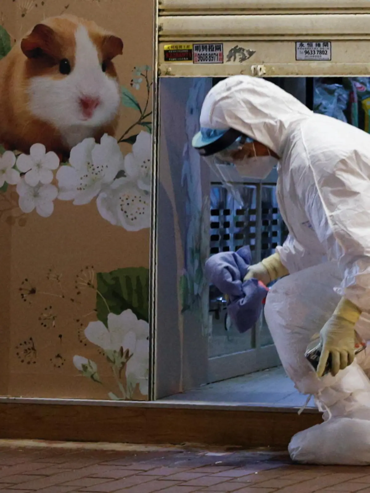 A wildlife officer with personal protective equipment leaves a temporarily closed pet shop, after the government announced to euthanize around 2,000 hamsters in the city after finding evidence for the first time of possible animal-to-human transmission of coronavirus disease (COVID-19), in Hong Kong, China, January 18, 2022. REUTERS/Tyrone Siu