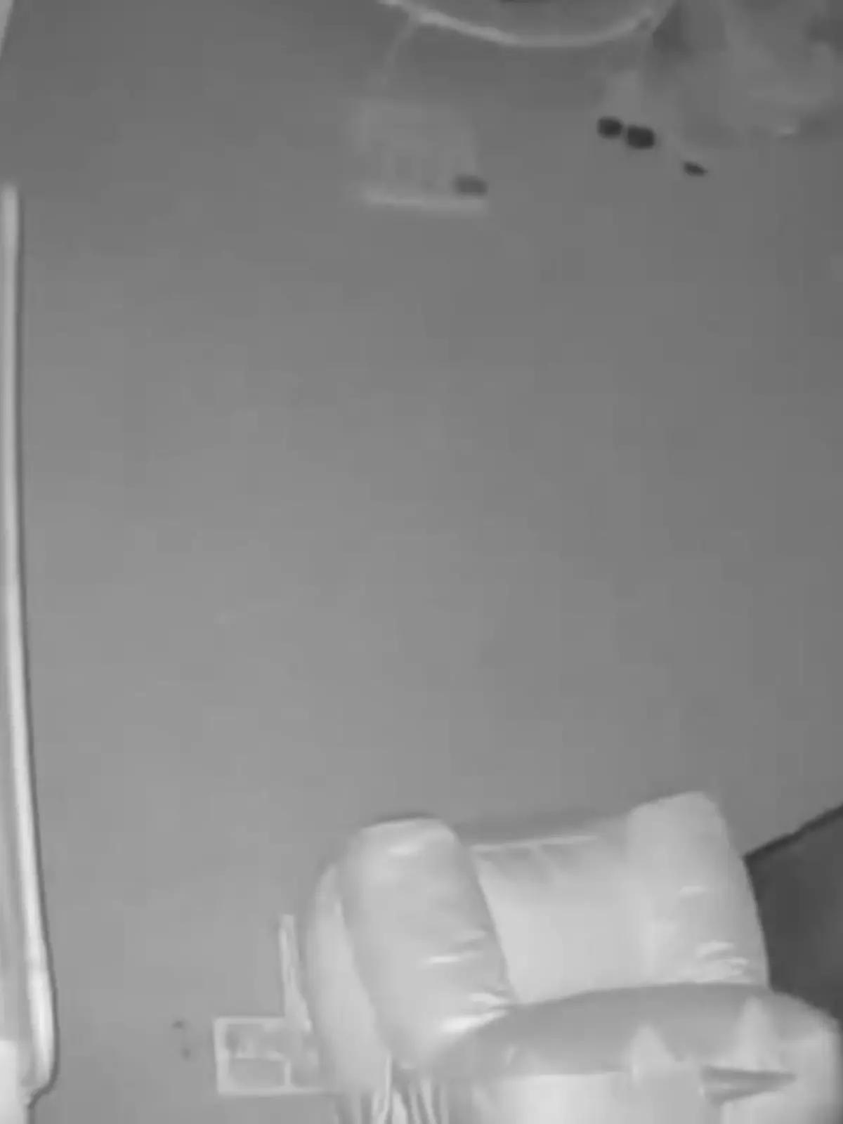 Erschreckende Aufnahme! Eine Mutter hat auf einer Überwachungskamera, die sie im Schlafzimmer ihres Babys installiert hatte, eine riesige Spinne entdeckt. Die achtbeinige Kreatur hat sich auf das Gesicht des Kindes abgeseilt - igitt! Den Moment zeigen wir im Video.