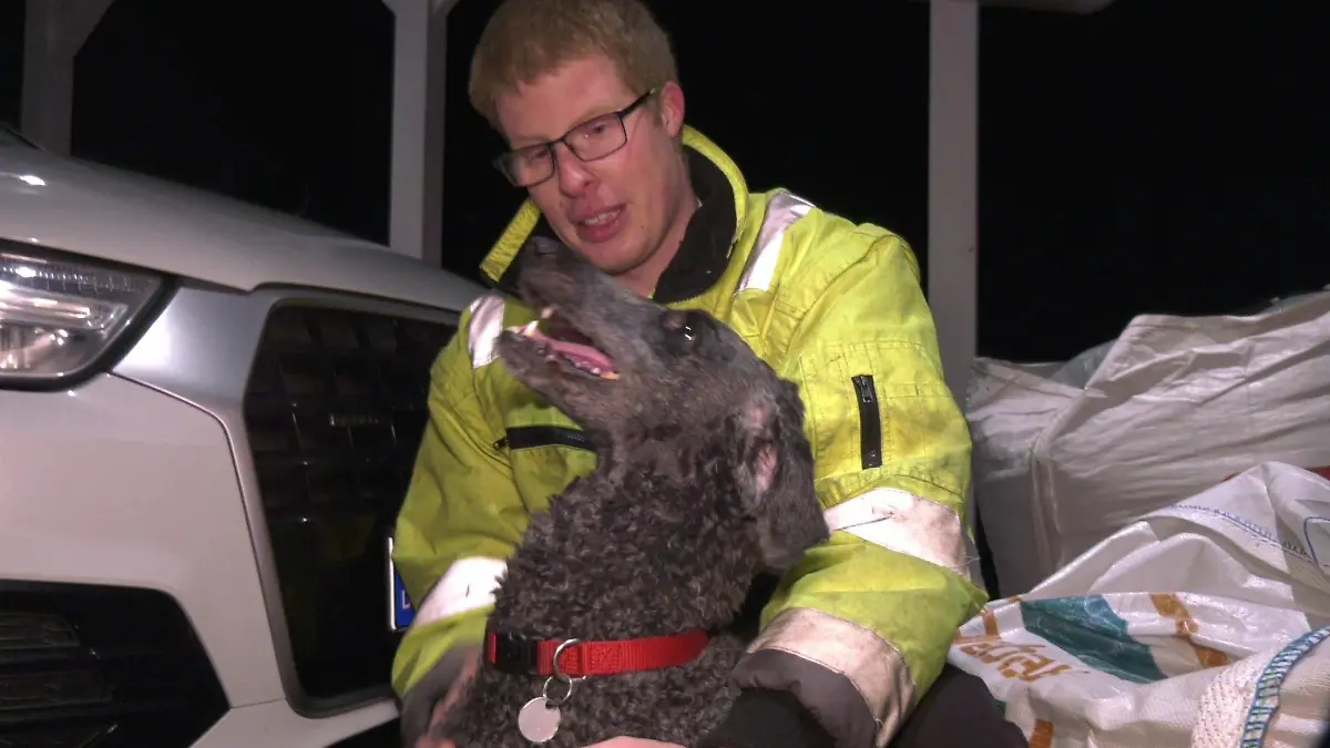 Lebensrettender Hund