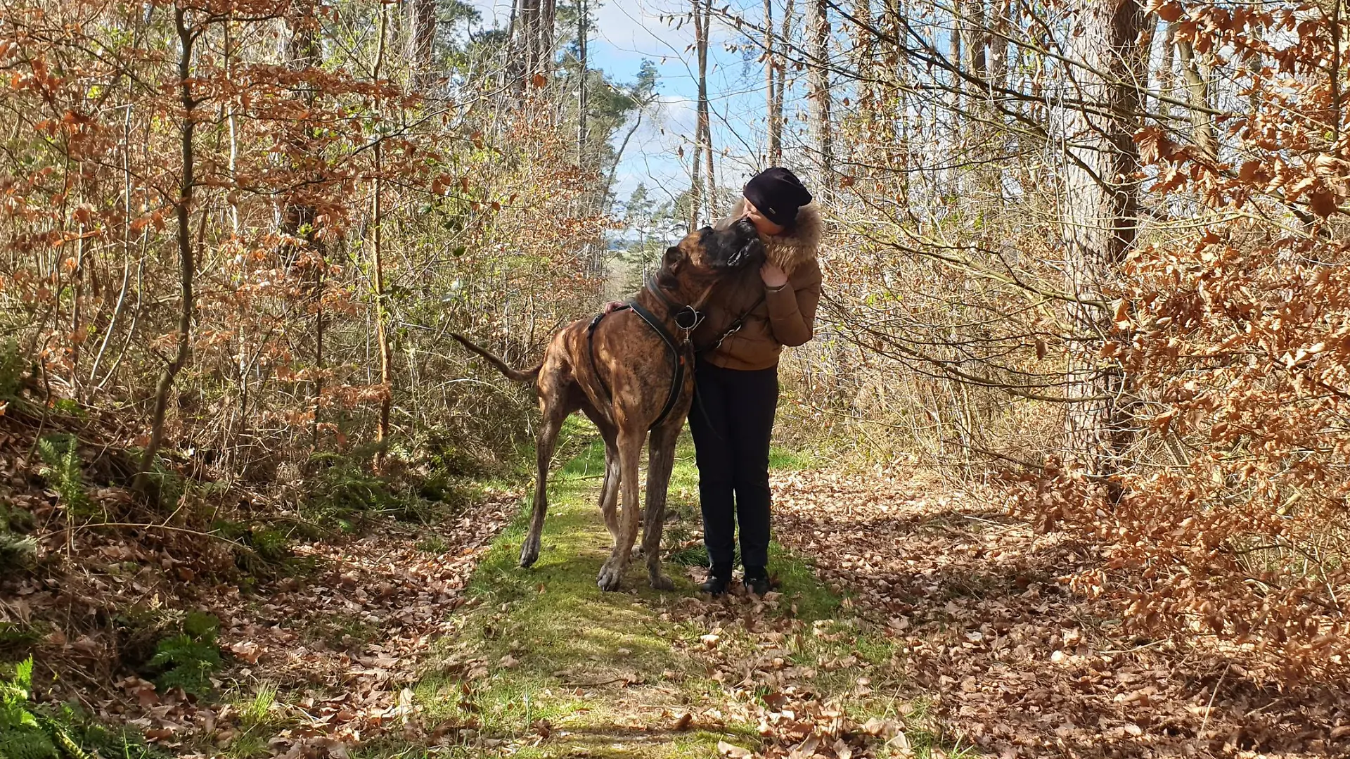 Dogge Tyras  mit Besitzerin Aleksandra Markianova
