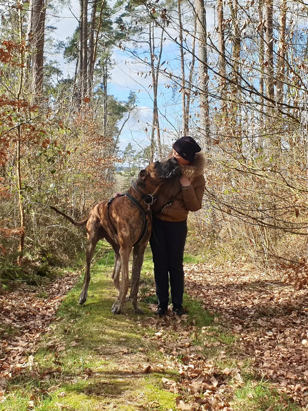 Dogge Tyras  mit Besitzerin Aleksandra Markianova