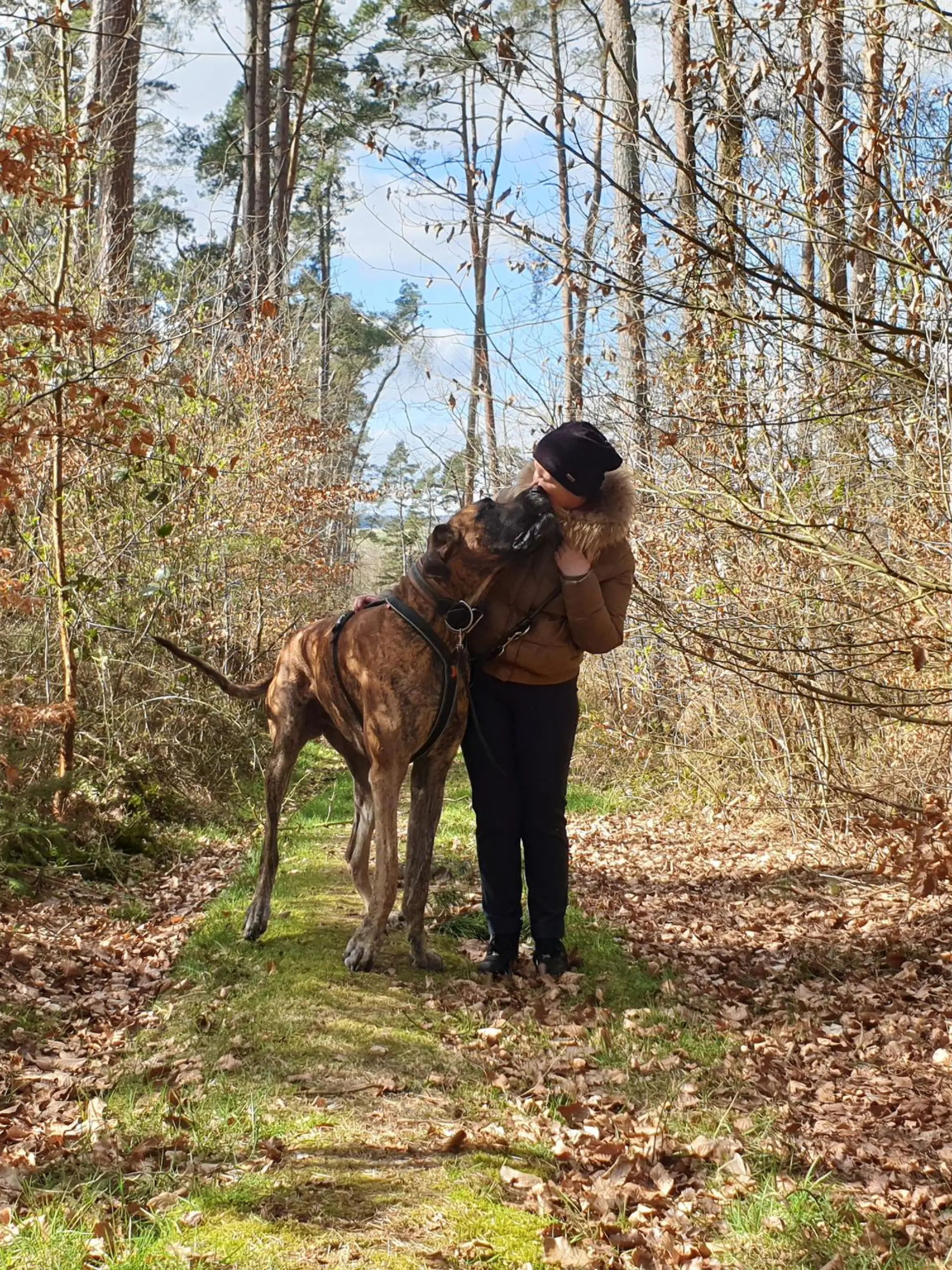 Dogge Tyras  mit Besitzerin Aleksandra Markianova