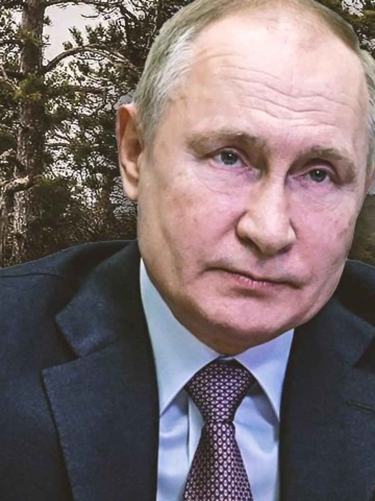 Russlands Präsident Putin will sein Land zu alter Größe führen.