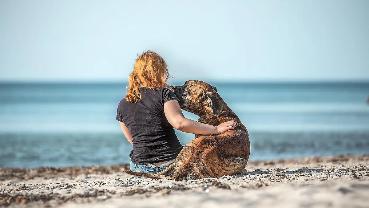 Dogge Tyras mit Besitzerin Aleksandra Markianova