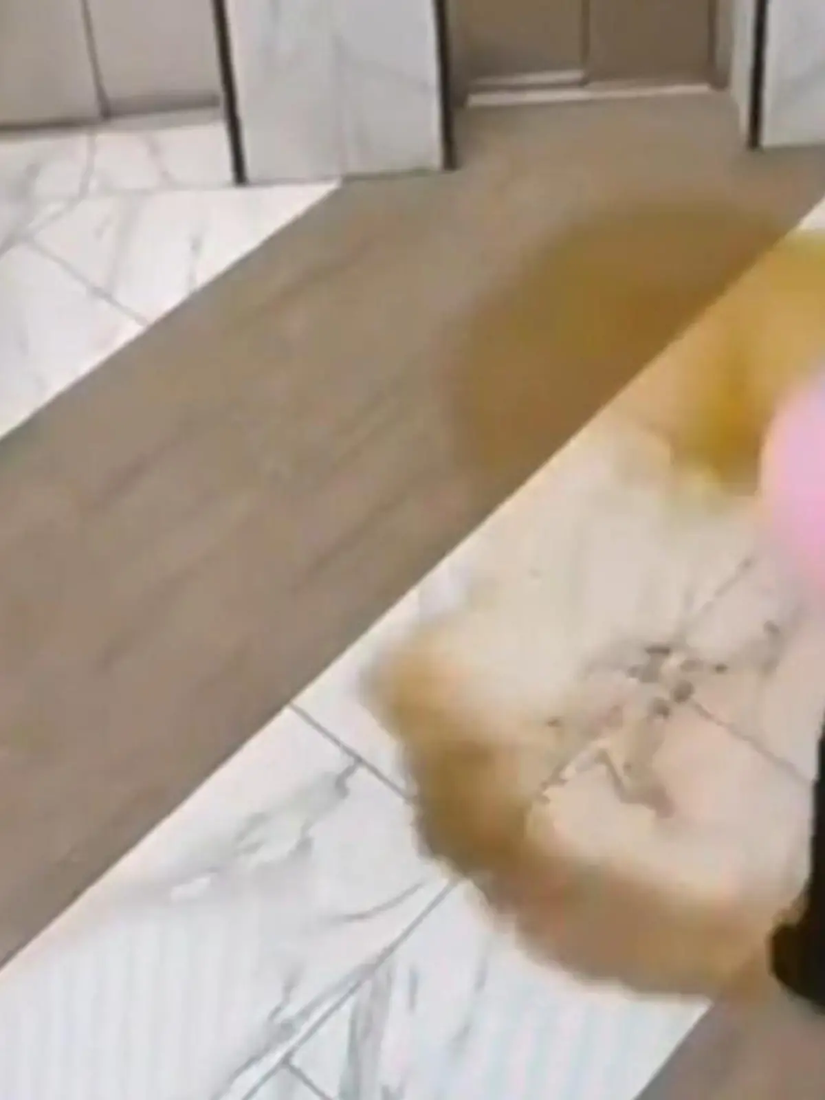 Eine Frau kippt aus einer Rosa Schüssel ihre Fäkalien in die Lobby.