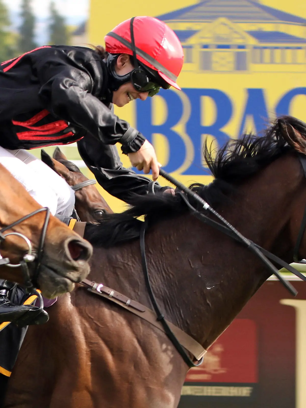 15.10.2021, Iffezheim, Baden-Wuerttemberg, GER - Olidaya mit Cecilia Mueller gewinnt. Galopprennbahn Baden-Baden, Iffezheim. Pferd, Jockey, Olidaya, Mueller, Sieg, Ziel, Zielankunft 211015SB823IFFEZHEIM.JPG *** 15 10 2021, Iffezheim, Baden Wuerttemberg, GER Olidaya with Cecilia Mueller wins racecourse Baden Baden, Iffezheim horse, jockey, Olidaya, Mueller, victory, finish, finish 211015SB823IFFEZHEIM JPG 