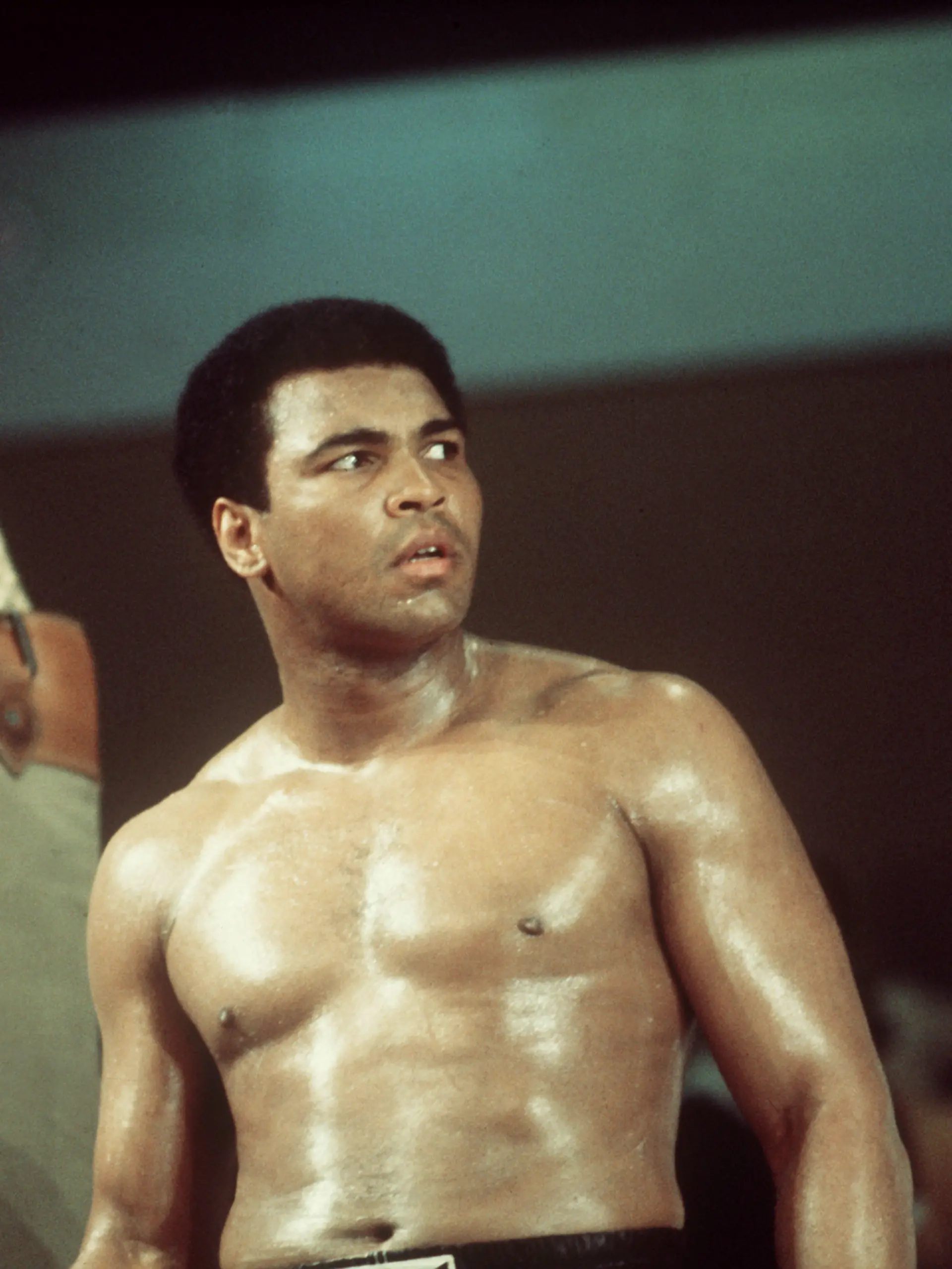 Der 34-jährige US-Schwergewichtsboxer Muhammad Ali trainiert am 24.05.1976 im Ring der Münchner Olympiahalle für seinen am Tag darauf steigenden Kampf gegen den britischen Herausforderer Richard Dunn. Dunn geht nach mehreren Niederschlägen in der 5. Runde K.o., und Ali verteidigt in seinem 19. WM-Kampf seinen Weltmeistertitel der World Boxing Association. Foto: Istvan Bajzat +++(c) dpa - Report+++