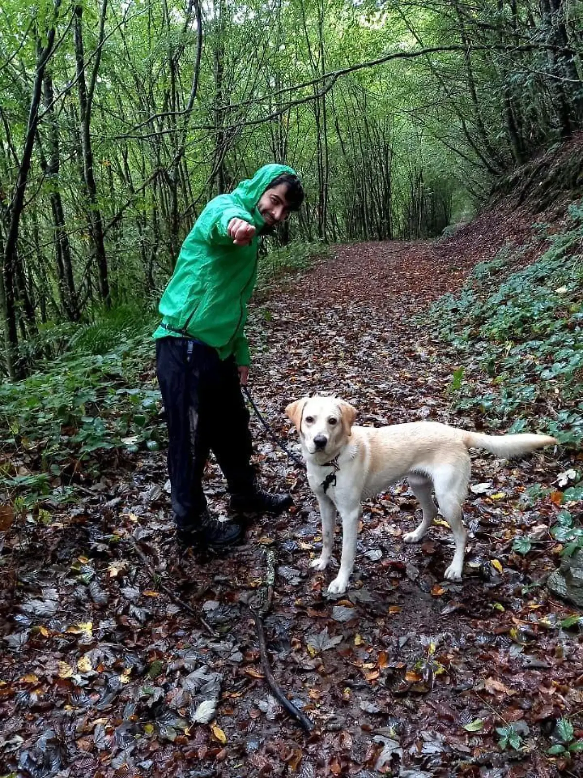 Ein unbekannter Täter klaute einen am Geländer vor dem Tegut Kelsterbach (Mörfelder Straße 22) angebundenen hellen Labrador-Rüden.