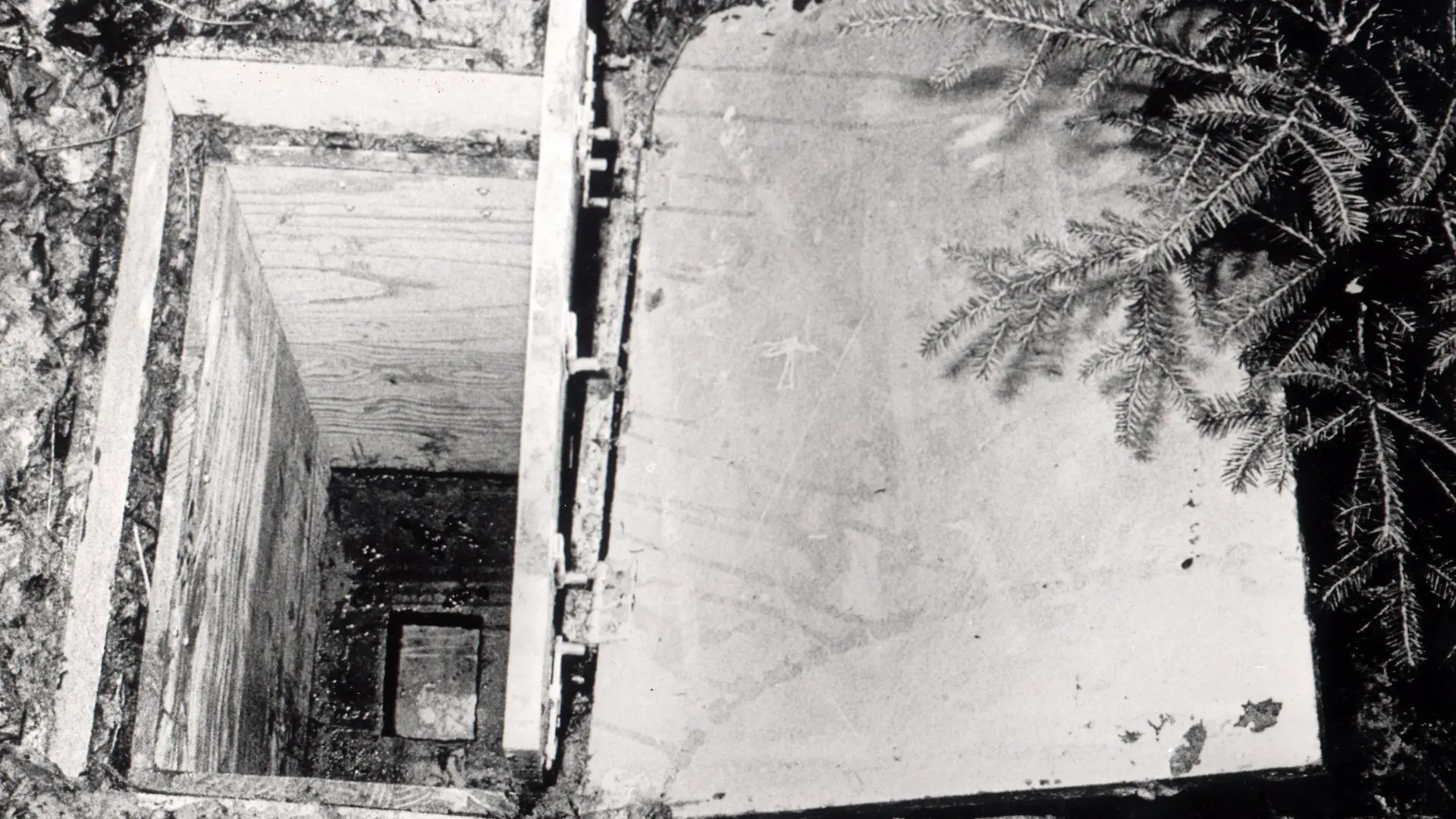 ARCHIV - Die in einem Waldstück bei Eching am Ammersee (Landkreis Landsberg am Lech) vergrabene Holzkiste, in der die elfjährige Ursula Herrmann am 04.10.1981 tot aufgefunden worden war (Archivfoto vom 05.10.1981). Nach 27 Jahren steht der spektakuläre Entführungs- und Mordfall an der zehnjährigen Ursula Herrmann aus Oberbayern vor der Aufklärung. Der mutmaßliche Mörder der Lehrertochter, die in einer vergrabenen Kiste qualvoll erstickt war, gehörte früher schon einmal zum Kreis der Verdächtigen. Er soll in Utting am Ammersee gelebt haben, bevor er aus Bayern wegzog. Am Donnerstag (29.05.2008) war der 58-Jährige nach dpa-Informationen im schleswig- holsteinischen Kappeln festgenommen worden. Nähere Einzelheiten wollen das Landeskriminalamt und die Staatsanwaltschaft Augsburg am frühen Nachmittag bei einer Pressekonferenz bekanntgeben. Foto: Polizei dpa/lby (nur s/w) +++(c) dpa - Bildfunk+++