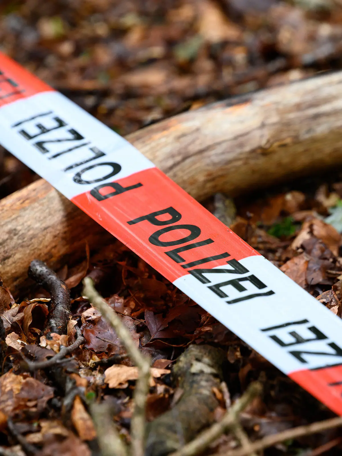 ARCHIV - 26.07.2022, Schleswig-Holstein, Norderstedt: Ein Flatterband der Polizei ist zur Markierung über den Waldboden gespannt. (Illustration zu dpa "Vermisste Mutter tot - Tatverdächtiger in Haft") Foto: Jonas Walzberg/dpa +++ dpa-Bildfunk +++