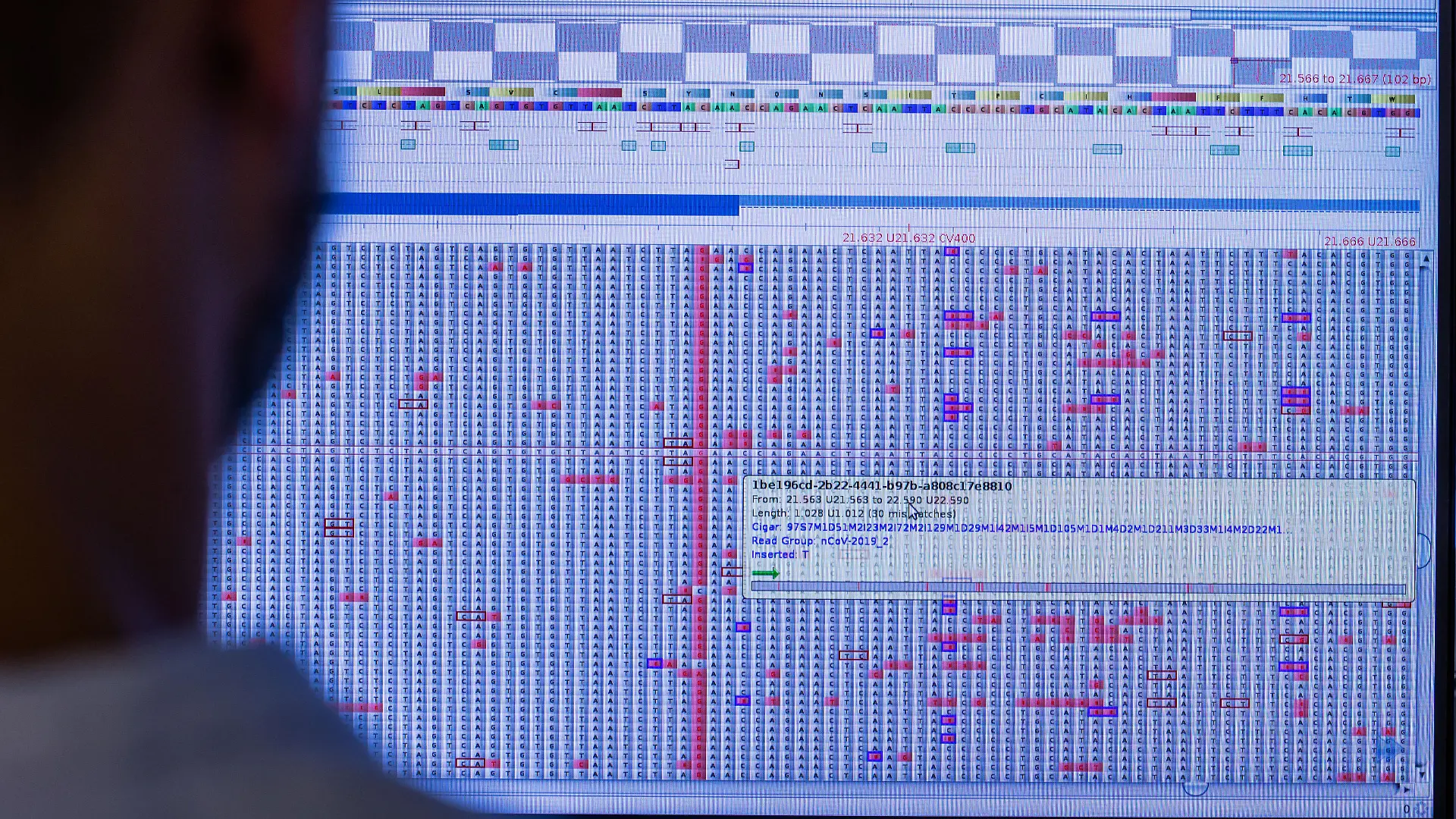 Am Computermonitor sucht Christian Kohler im Sequenzierlabor für Corona-Varianten (CoMV-Gen) in der Universitätsmedizin Greifswald nach neuen Varianten und Mutationen des Corona-Virus. Coronaviren verändern sich ständig und müssen durch aufwendige Genanalysen beobachtet werden. In Greifswald arbeiten Forscher dabei am Anschlag und haben in den letzten Wochen mehr als 1.500 Proben sequenziert.
