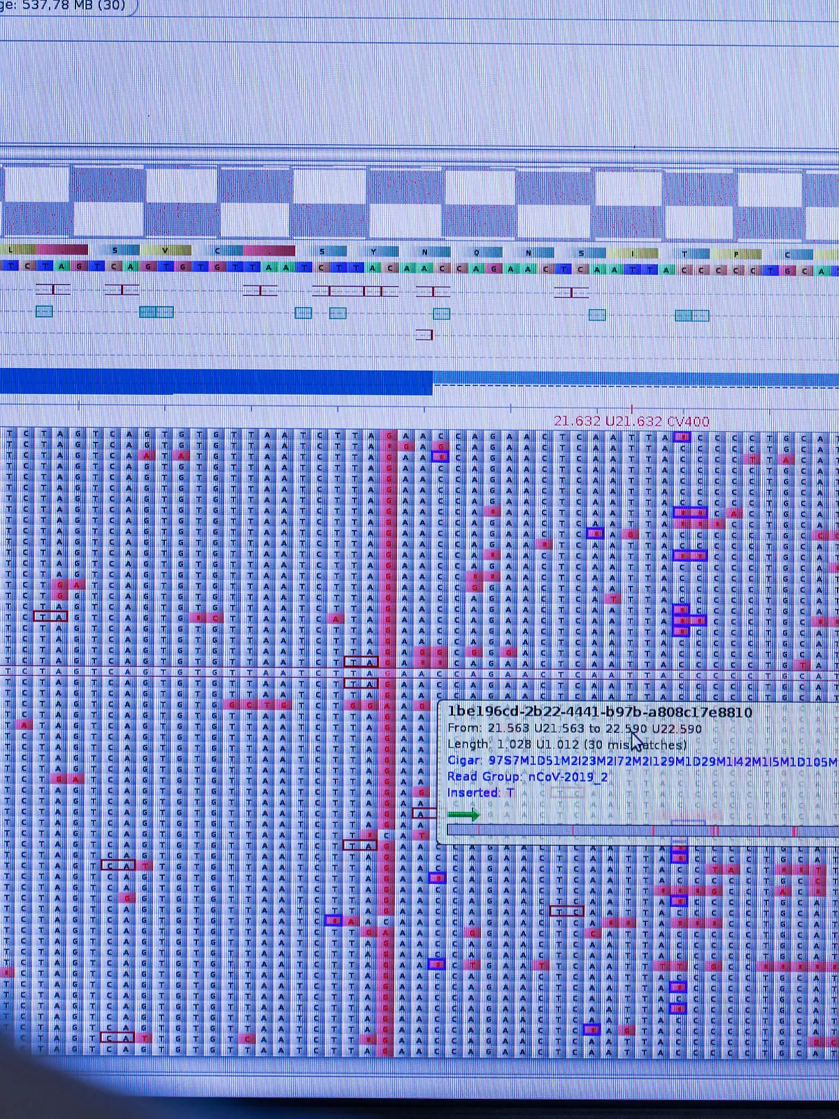 Am Computermonitor sucht Christian Kohler im Sequenzierlabor für Corona-Varianten (CoMV-Gen) in der Universitätsmedizin Greifswald nach neuen Varianten und Mutationen des Corona-Virus. Coronaviren verändern sich ständig und müssen durch aufwendige Genanalysen beobachtet werden. In Greifswald arbeiten Forscher dabei am Anschlag und haben in den letzten Wochen mehr als 1.500 Proben sequenziert.